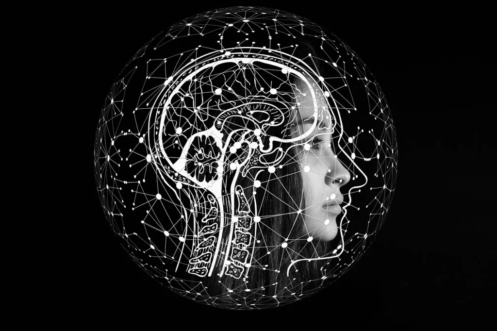 la tete dun humain ou on voit le cerveau