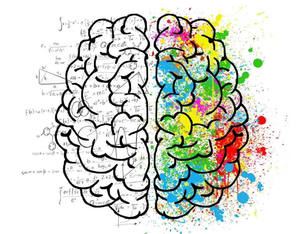 un cerveau de ln cote des calcul de lautre des taches de peinture