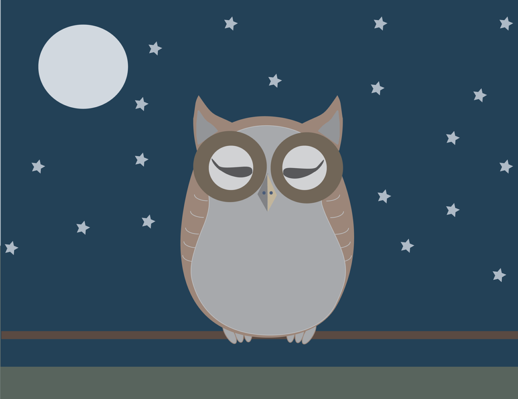 illustration d'un hibou avec en fond un ciel étoilé